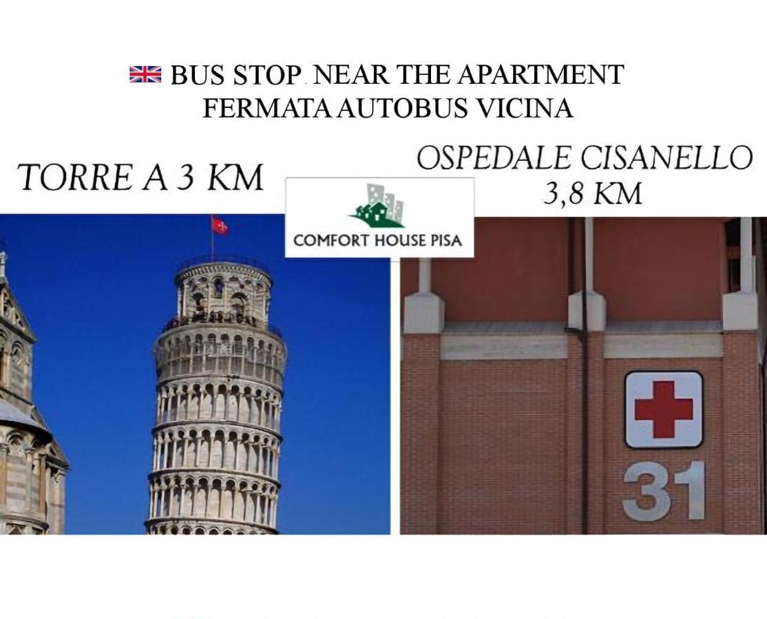 Comfort House Pisa Dış mekan fotoğraf