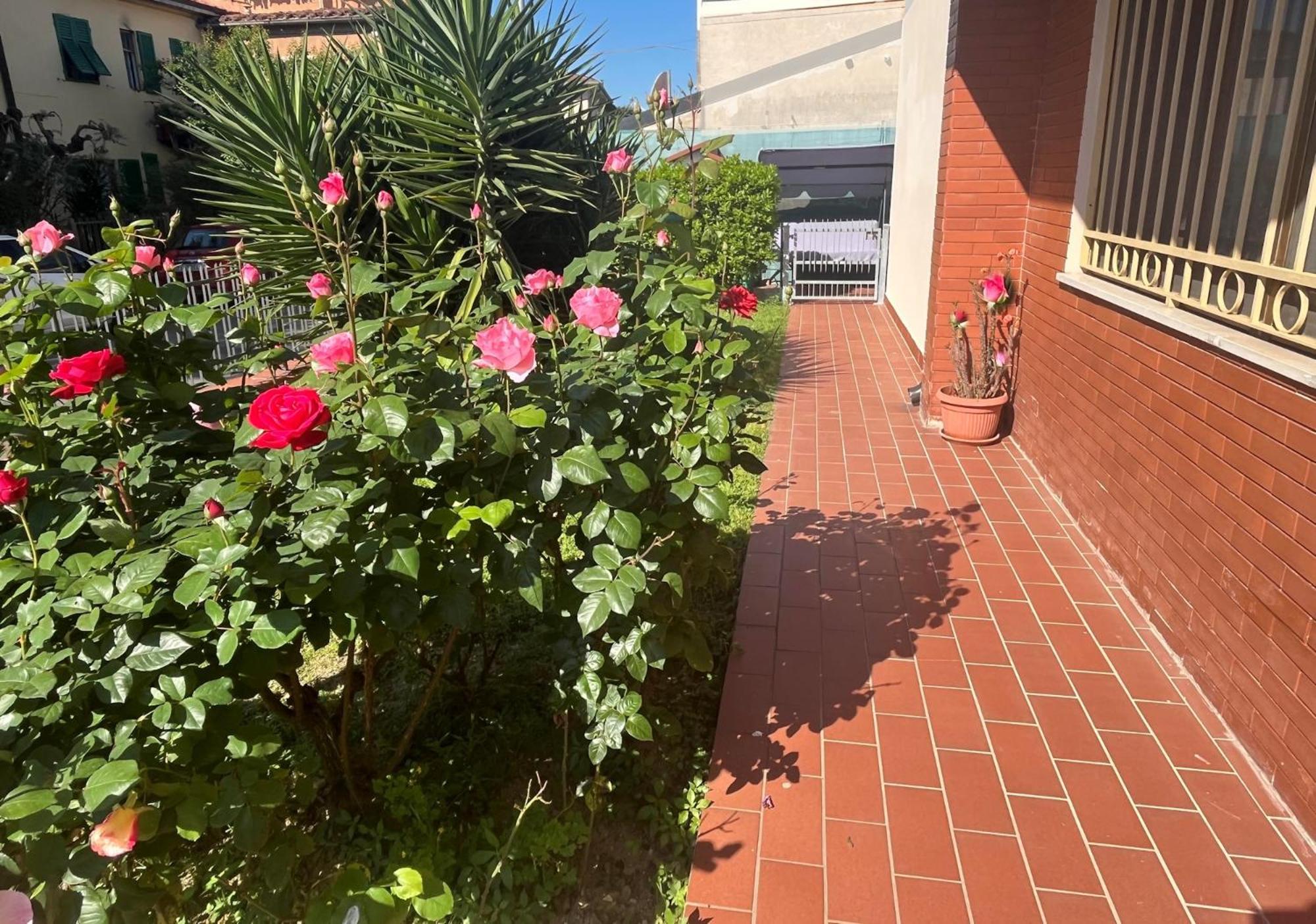 Comfort House Pisa Dış mekan fotoğraf